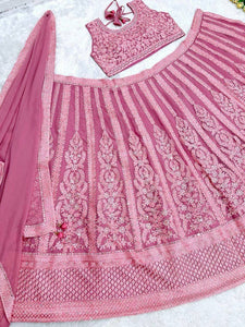 Pink and rose panelled mirror work Lehenga