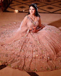 Beige and baby pink real mirror work Lehenga