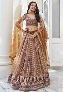 Kelaya collection - brown net Lehenga