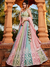 Pink chinnon multicoloured panelled Lehenga