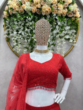 Red sparkly georgette Lehenga