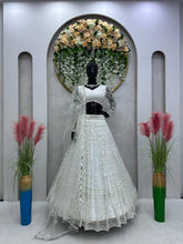 Stylish White butterfly net Lehenga