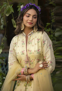 Dola silk jacquard pastel yellow and peach shaded gown