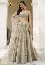 Kelaya collection - ivory net Lehenga