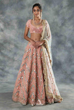 Baby pink and beige desi beats Lehenga