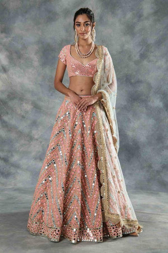 Baby pink and beige desi beats Lehenga
