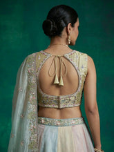 Pastel multicoloured organza lehenga - sea green