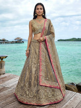 Gold tissue embroidered lehenga