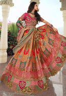 Royal collection- multi coloured banarasi silk Lehenga