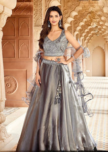 Silver on sale lehenga choli