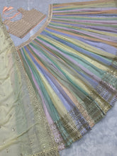 Pastel rainbow panelled Lehenga