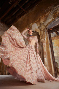 Pastel peach mirror work Lehenga (suitable for tall too + plus size)