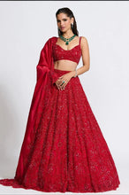 Red vichitra silk embellished Lehenga