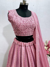 Pink and rose panelled mirror work Lehenga