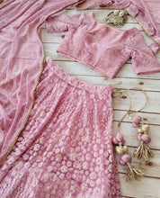 Baby pink sequins embroidered Lehenga