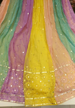 Multicoloured Lehenga - limited stock