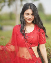 Red sequins net Lehenga