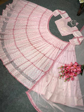 Baby pink needle work Lehenga