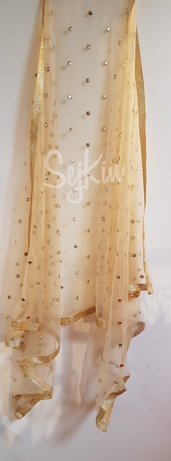 Gold dots all over dupatta
