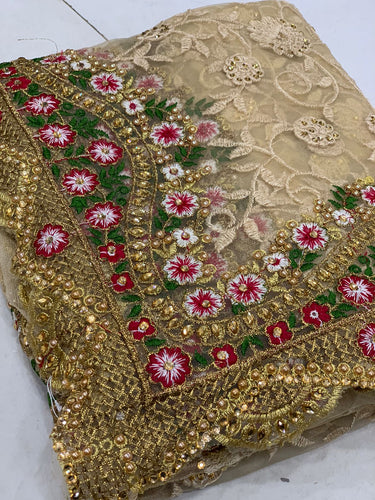 Sabyasachi inspired net saree