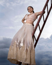 Ballet partywear sequins Lehenga