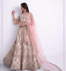 Zizi collection vol 2 - off white net Lehenga