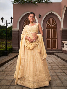 Lucknowi sequins Lehenga - chiku