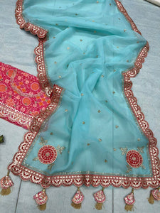 Pastel organza saree with gotta work lace