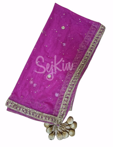 Rani latkan mirror work dupatta