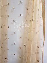 Gold dots all over dupatta