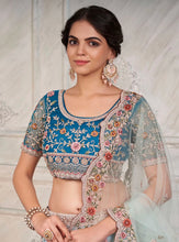 Blue soft net Lehenga