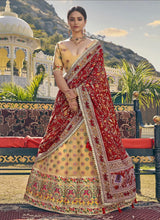 Beige organza Lehenga