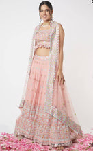 Blush pink and colourful Lehenga with thread embroidery