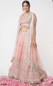 Blush pink and colourful Lehenga with thread embroidery