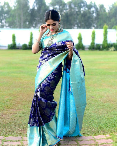 Sky and dark blue silk saree