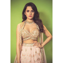 Peachy sequin Lehenga
