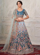 Blue soft net Lehenga