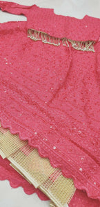 Kids chikankari sequins Lehenga