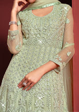 Safeena vol 3 - pista green anarkali