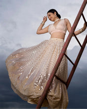 Ballet partywear sequins Lehenga