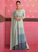 Janisha - Georgette embroidered gown
