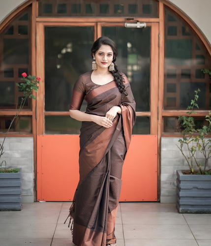 Brown soft lichi silk saree