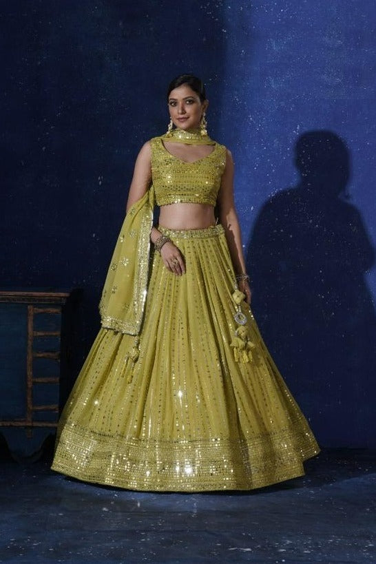 Lily album - readymade Lehenga