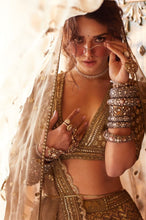Sabyasachi inspired - Brown golden Lehenga