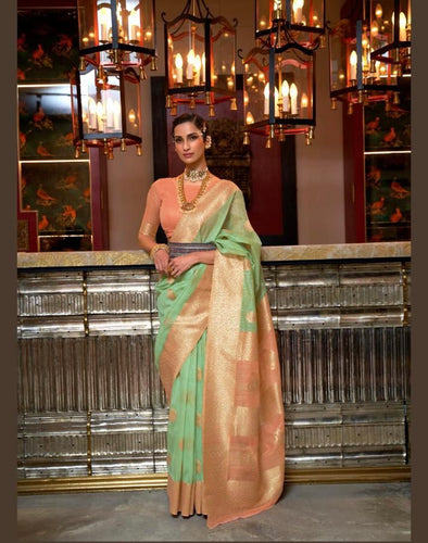 Ariya sarees - Pure linen weaving saree